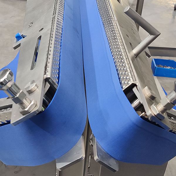 Food conveyor - elastic belt