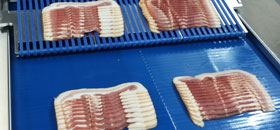 Flat elastic conveyor for food industry