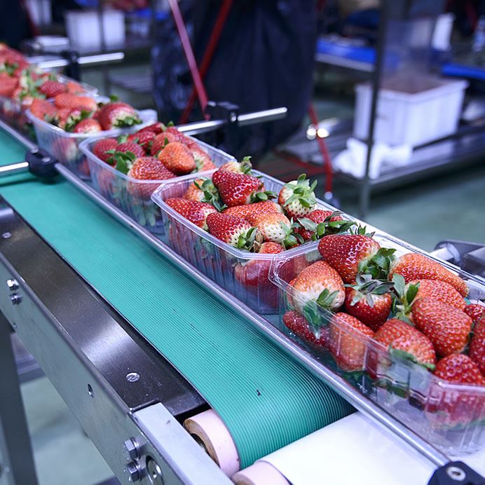 Food conveyor